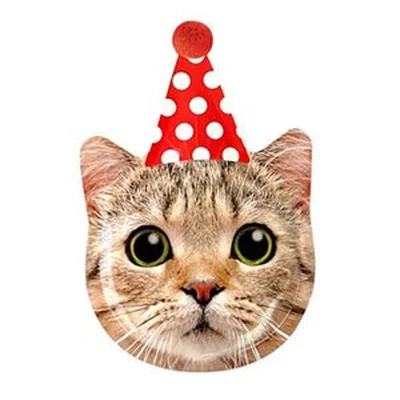 Animal Party