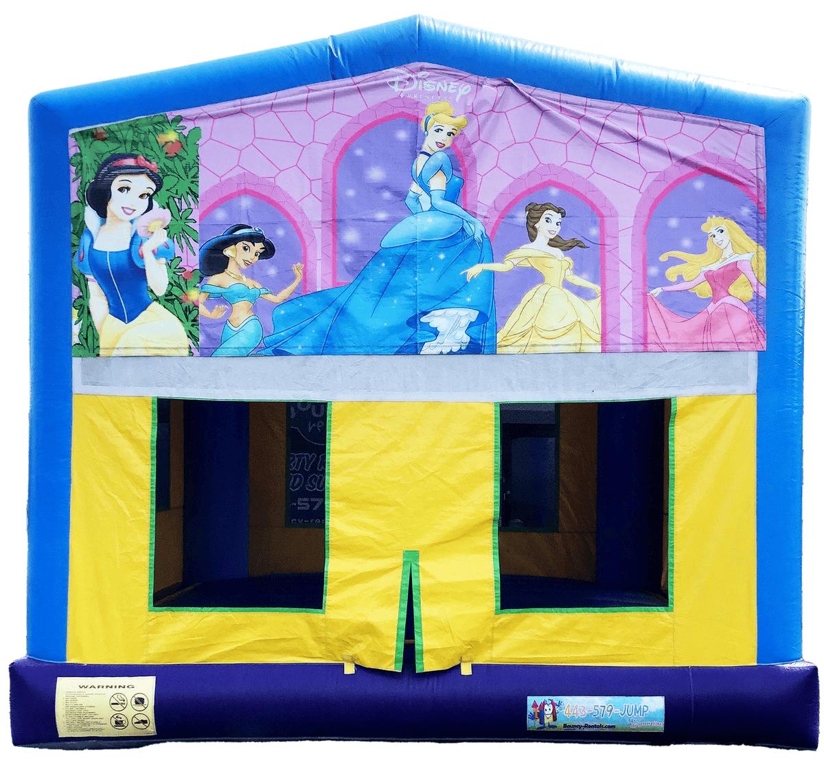 Disney Princess Blue Themed Bounce #5
