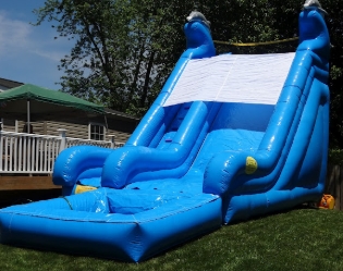 Dolphin Water Slide #W30