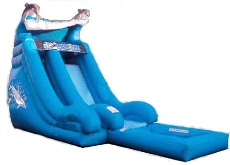 Dolphin Water Slide #W47