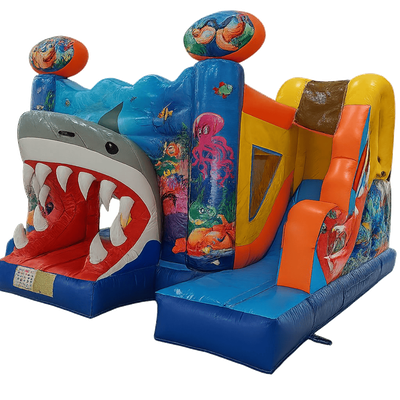 Shark Combo Bounce #119