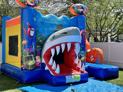 Shark Combo Bounce #119