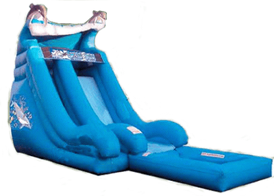 Dolphin Water Slide #W47
