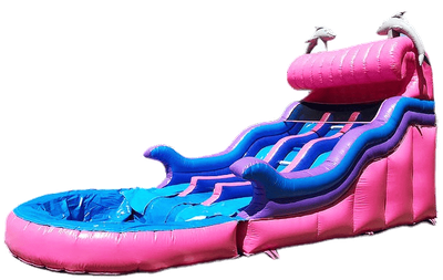 Dual Dolphin Water Slide #W31