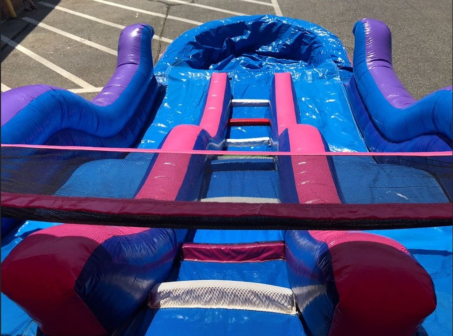 Dual Dolphin Water Slide #W31