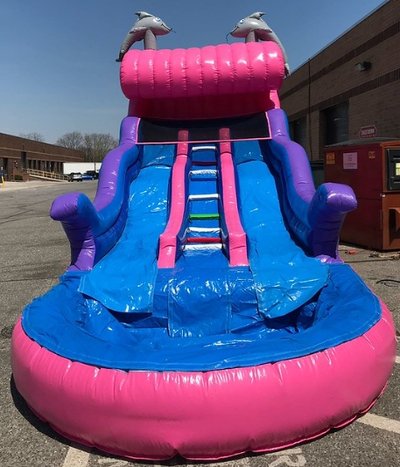 Dual Dolphin Water Slide #W31