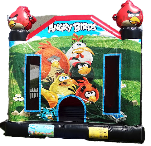 Angry Birds Moonbounce #1