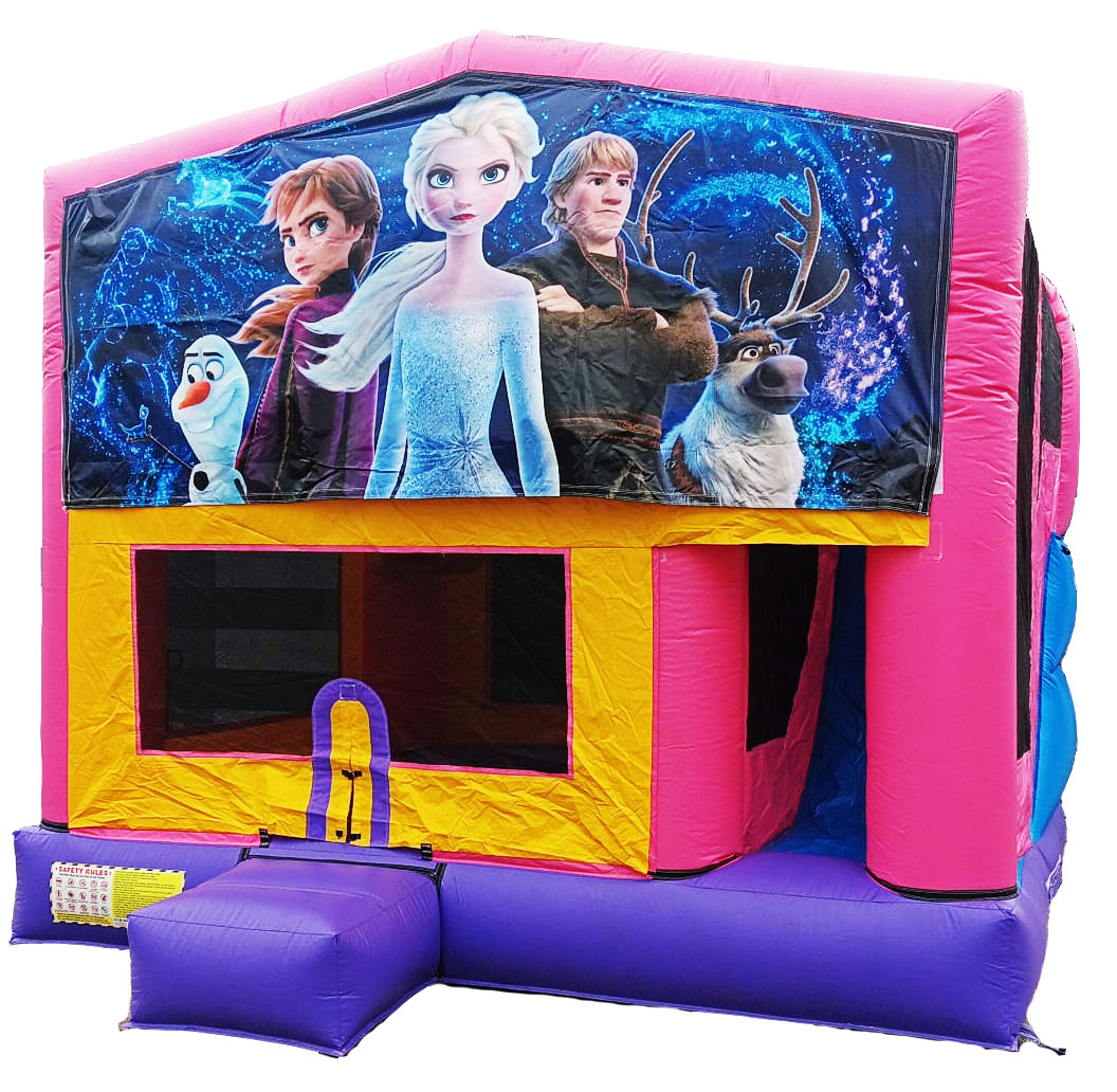 Frozen Pink Themed Combo #121