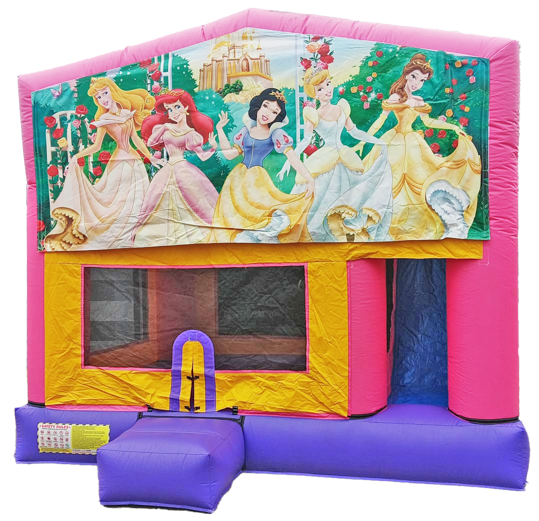 Princesse1 Pink Themed Combo #121