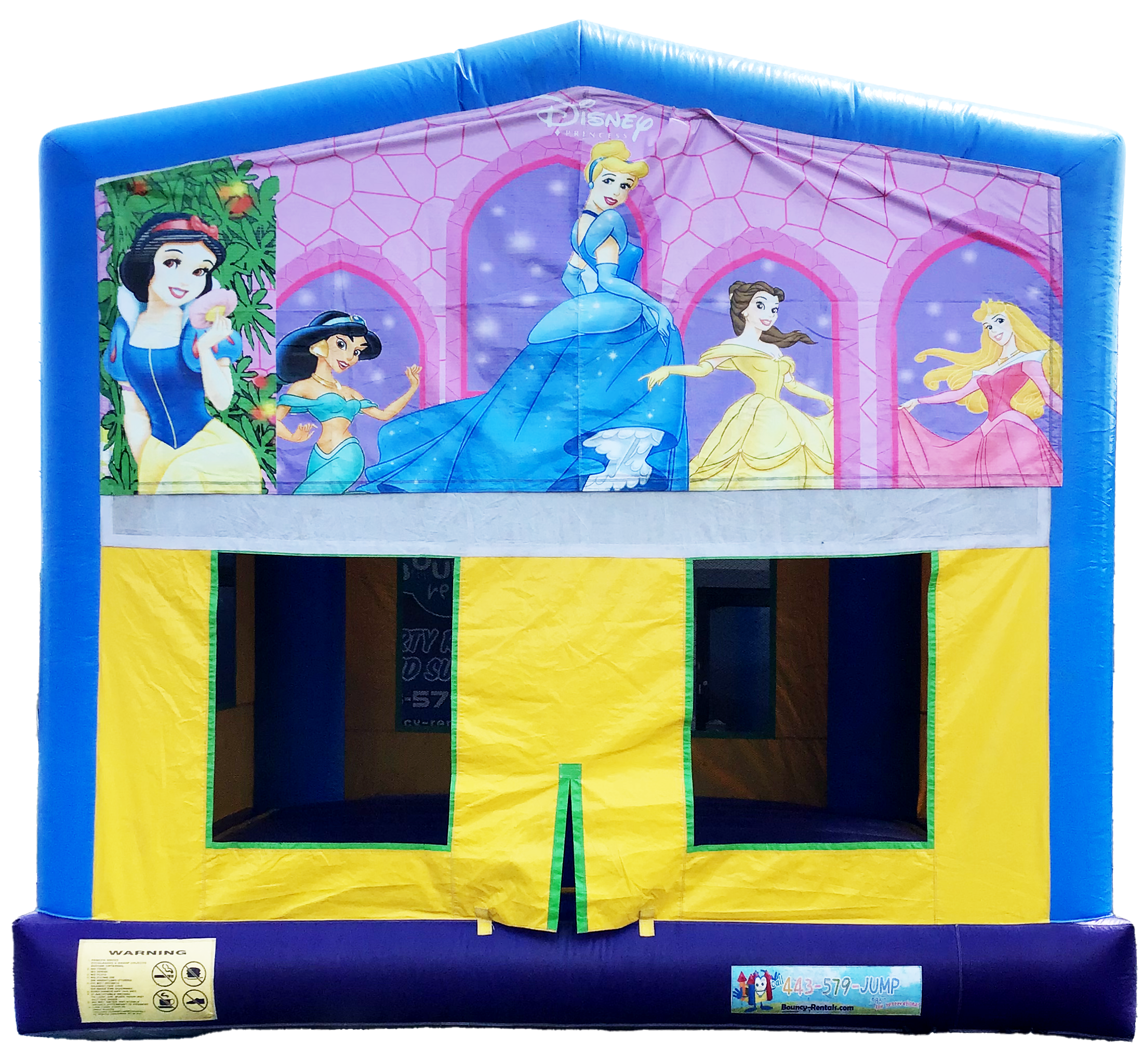 Disney Princess Blue Themed Bounce #5