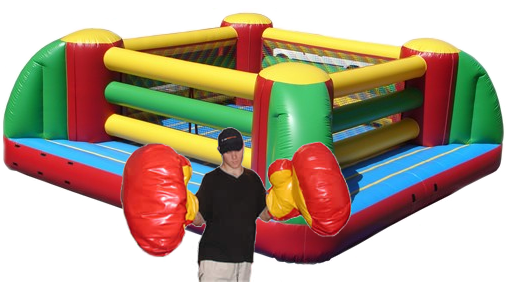 Inflatable Boxing Ring #25