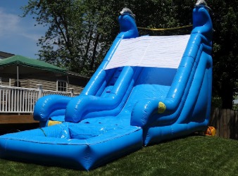 Dolphin Water Slide #W46