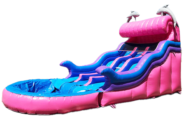 Dual Dolphin Water Slide #W31