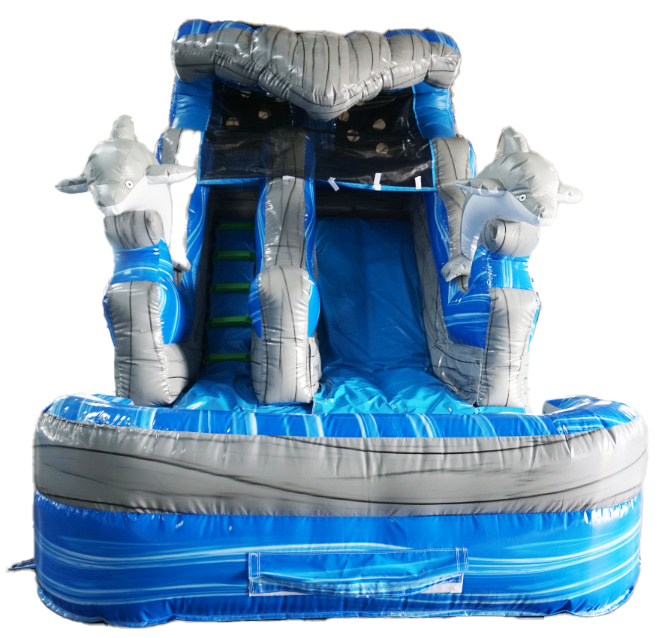 Swimming Dolphins WaterSlide #W59